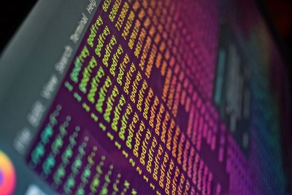Jak wartościowy software house może zrewolucjonizować Twoje przedsiębiorstwo?